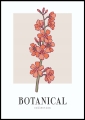 Plakat Botanical Collection No1_01.jpg