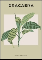 Plakat Dracaena_01.jpg