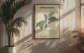 Plakat Dracaena_02.jpg