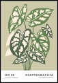 Plakat Dieffenbachia_01.jpg