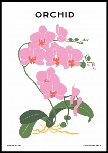 Plakat Orchid