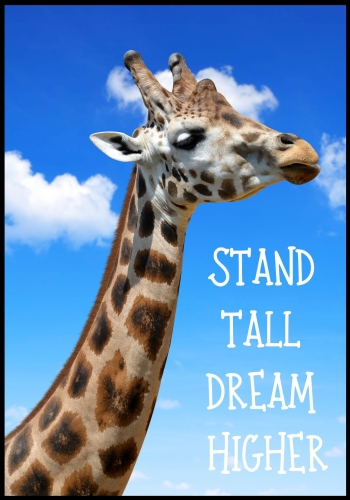 Plakat Giraffe No2_01.jpg