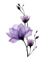Plakat Fioletowy Kwiat 01.jpg