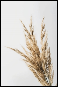 Plakat Boho No1 