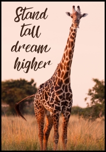 Plakat Giraffe No1