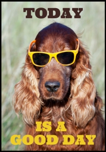 Plakat Dog Day