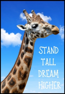 Plakat Giraffe No2