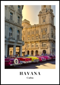 Plakat Havana No1