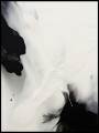 Plakat Fluid Contrast_01.jpg