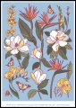 Plakat Blooming Beauty  No1_01.jpg