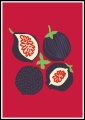 Plakat Fig Delight_01.jpg