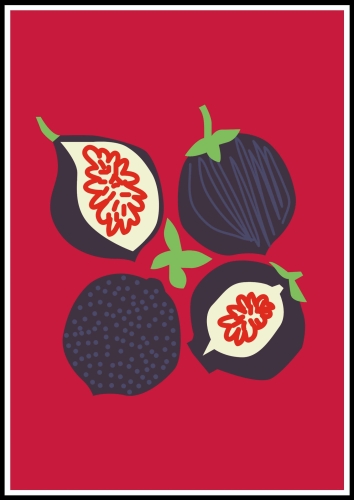 Plakat Fig Delight_01.jpg