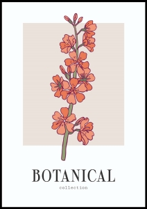 Plakat Botanical Collection No1