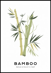 Plakat Bamboo