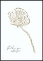 Plakat Line Art Flora_01.jpg