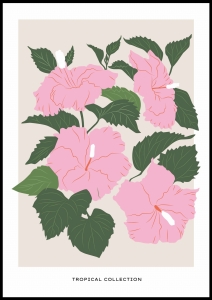 Plakat Hibiscus 