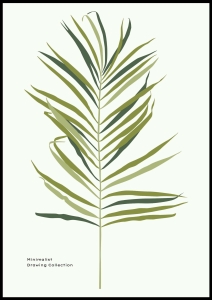 Plakat Leaf Simplicity 