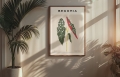 Plakat Begonia_02.jpg