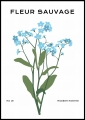 Plakat Wild Blue Blossoms_01.jpg