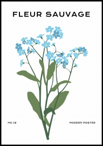 Plakat Wild Blue Blossoms