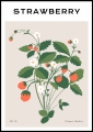Plakat Berry Blossoms_01.jpg