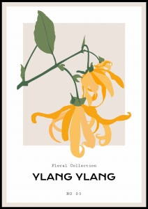 Plakat Ylang Ylang