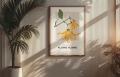 Plakat Ylang Ylang_02.jpg