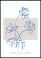 Plakat Floral Sketch_01.jpg
