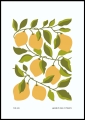 Plakat-Lemon-Garden_01.jpg
