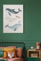 Plakat-Trzy-Wieloryby_02.jpg